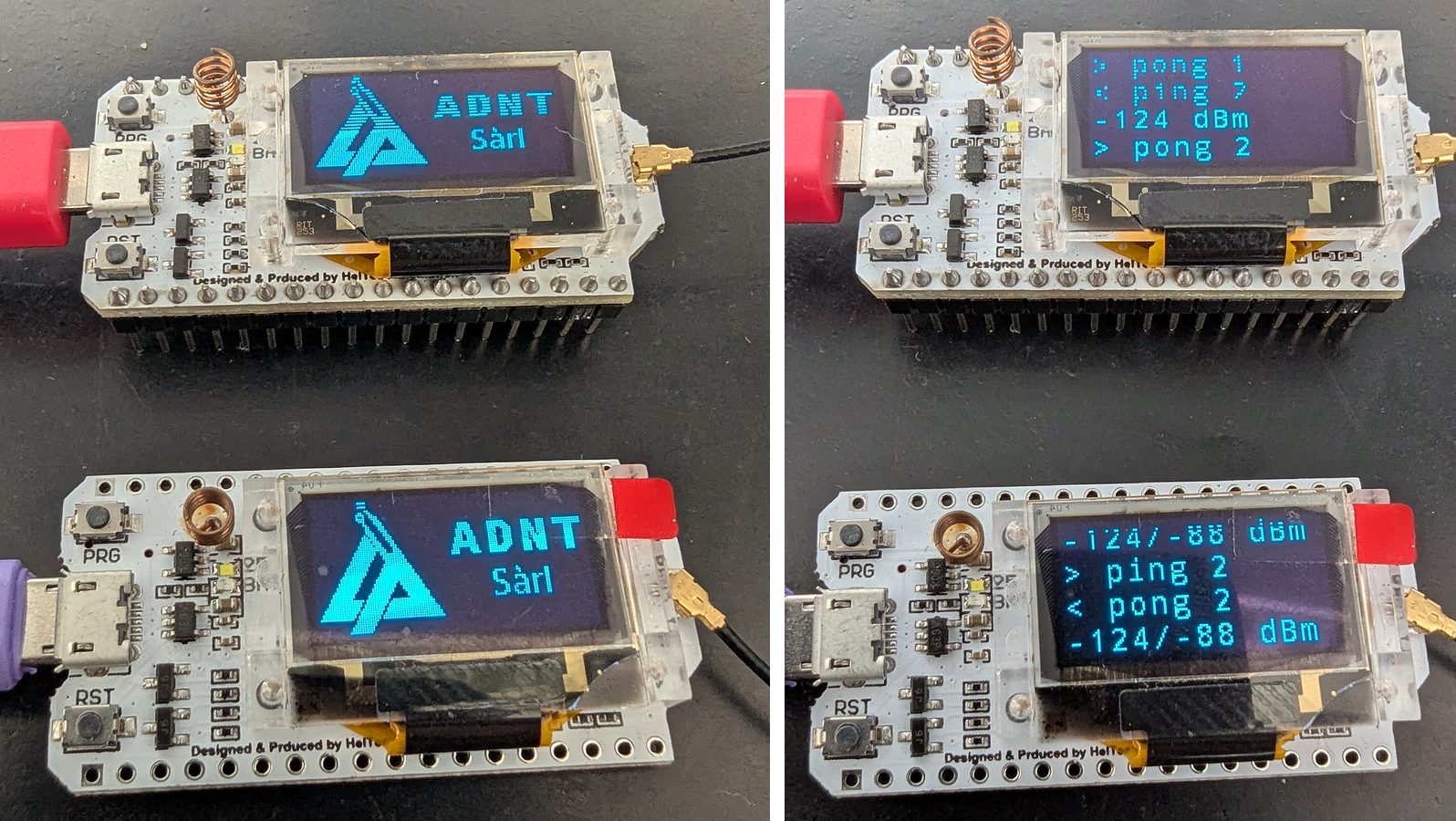 Deux cartes Heltec ESP32 avec radio SX1276 : à gauche, le logo affiché au démarrage ; à droite, le test radio ping-pong et la puissance reçue dans chaque sens.